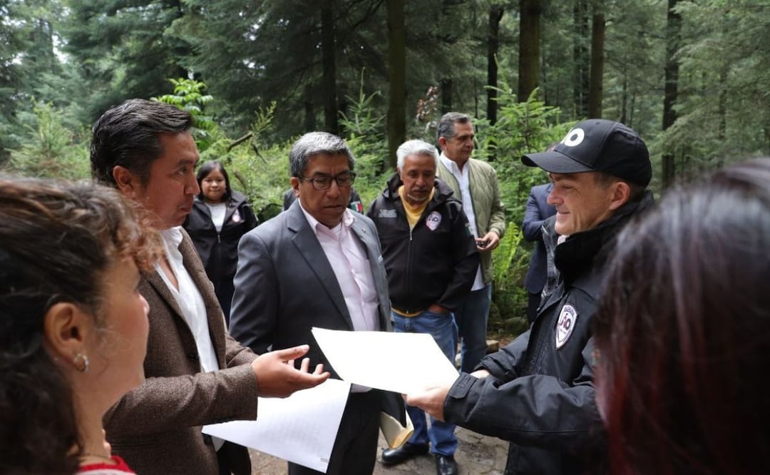 La Alcaldía Álvaro Obregón fue reconocida con la distinción “Tree Cities of the World 2025” debido a su labor en protección del arbolado urbano. | Foto: Especial.