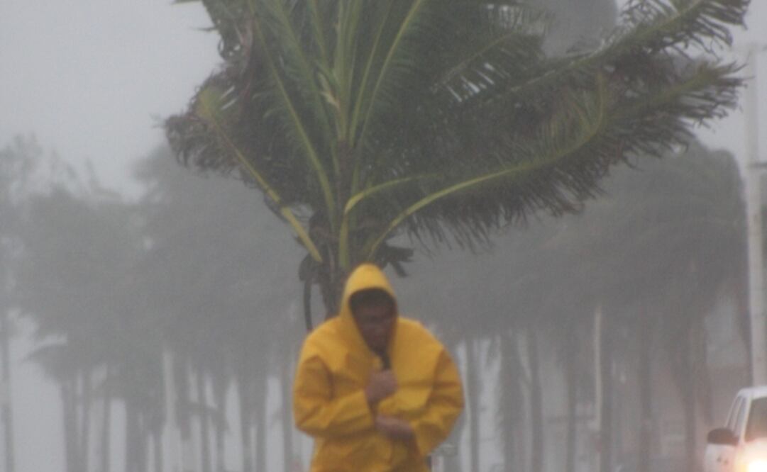 Foto: Archivo / EL UNIVERSAL