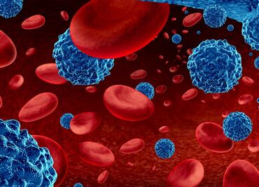 Identifican anticuerpos claves del sistema inmune para combatir tumores cancerígenos