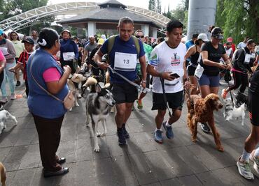Realizan la carrera "Amas es adoptar" en Coyoacán; participan más de 100 personas