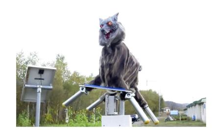 Con aterrador robot lobo, Japón ahuyenta a los osos 