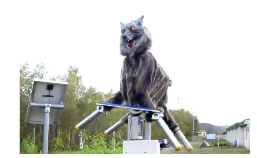 Se colocaron en las afueras de la ciudad Takikawa.