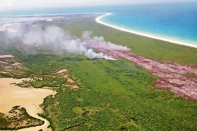 Investigarán si fue intencional fuego en Holbox; prevén veda