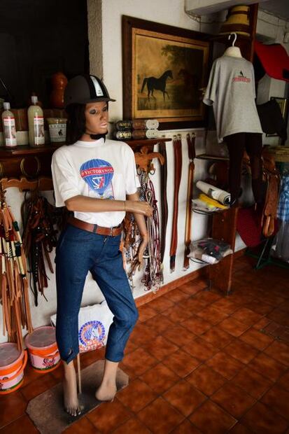 El matadero de Pino Suárez 