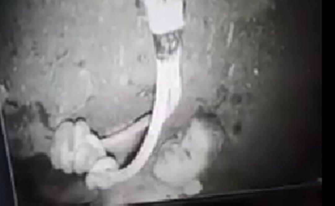 Foto: Tomada del video 