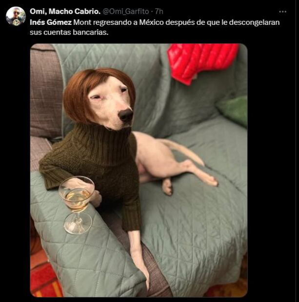Inés Gómez Mont protagoniza los mejores memes tras desbloqueo de cuentas. Foto: Captura de pantalla
