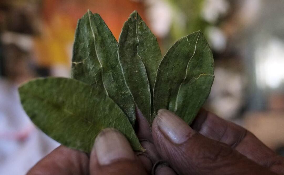 Foto: Reuters/Archivo
