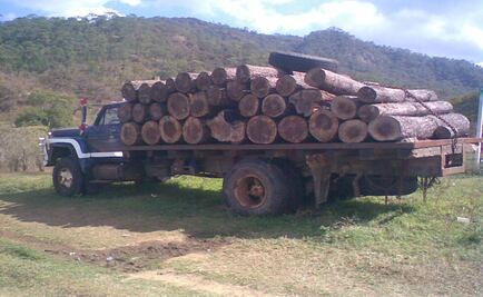 Decomisan más de 9 mil metros cúbicos de madera en 2015