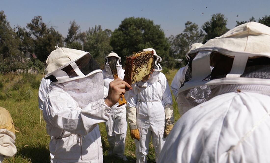 Foto: Cortesía / Archivo EL UNIVERSAL