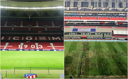 En España cambian pasto híbrido y está listo en una semana