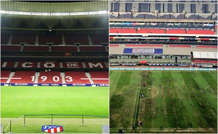 En España cambian pasto híbrido y está listo en una semana