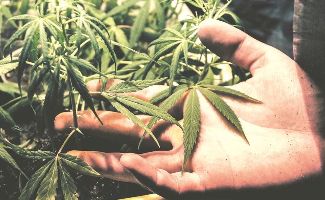 Foto: Archivo EL UNIVERSAL