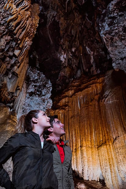 Cortesía: Ah Chihuahua