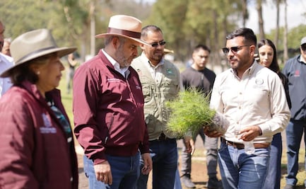 Gobierno de Michoacán destaca exitosa campaña de reforestación; en solo 4 años se habrán plantado 50 millones de árboles en la entidad