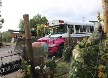 Hacienda Lagunillas, Querétaro: Vino, queso, vendimia y descanso