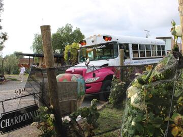 Hacienda Lagunillas, Querétaro: Vino, queso, vendimia y descanso