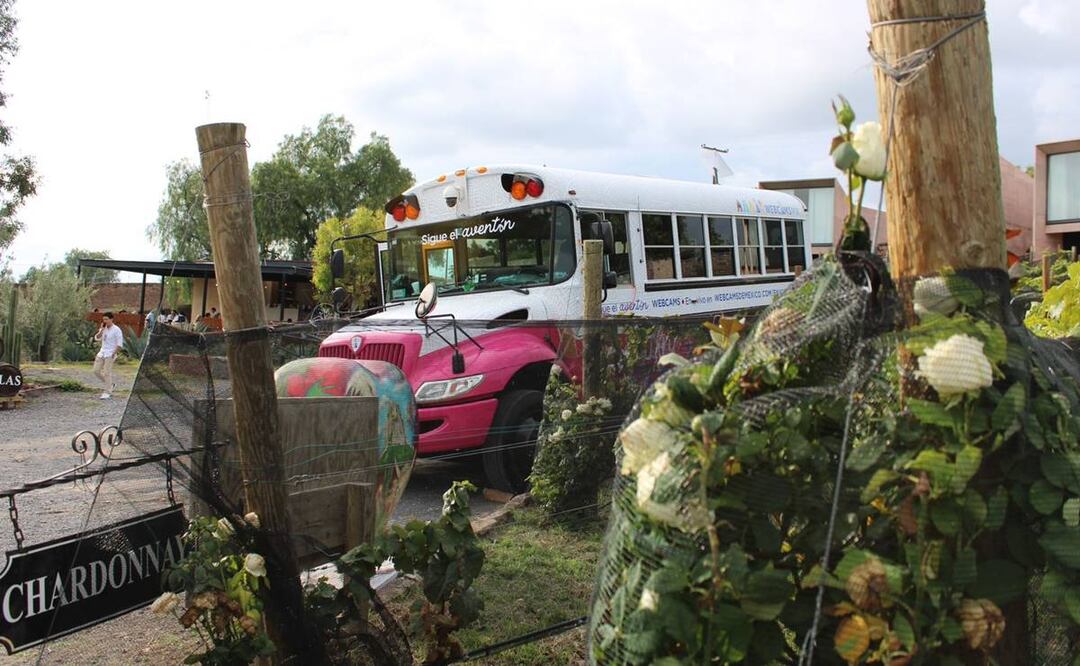 Foto: Alan Nájera / El Universal