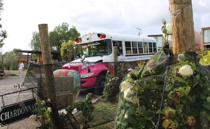 Hacienda Lagunillas, Querétaro: Vino, queso, vendimia y descanso