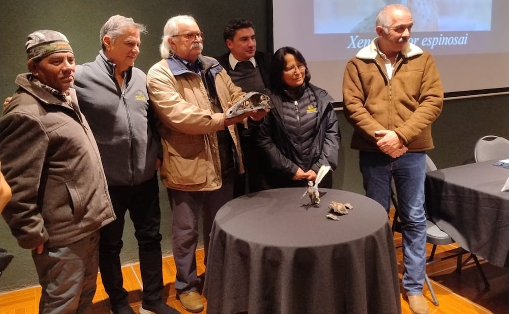 El estudio fue realizado por un equipo internacional de investigadores encabezado por paleontólogos mexicanos del Museo del Desierto en Coahuila y la Universidad Humanista de las Américas, en colaboración con la University of Bath. Foto: Especial.
