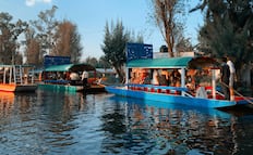 Día del Niño: hoy, hay cine en los embarcaderos de Xochimilco 