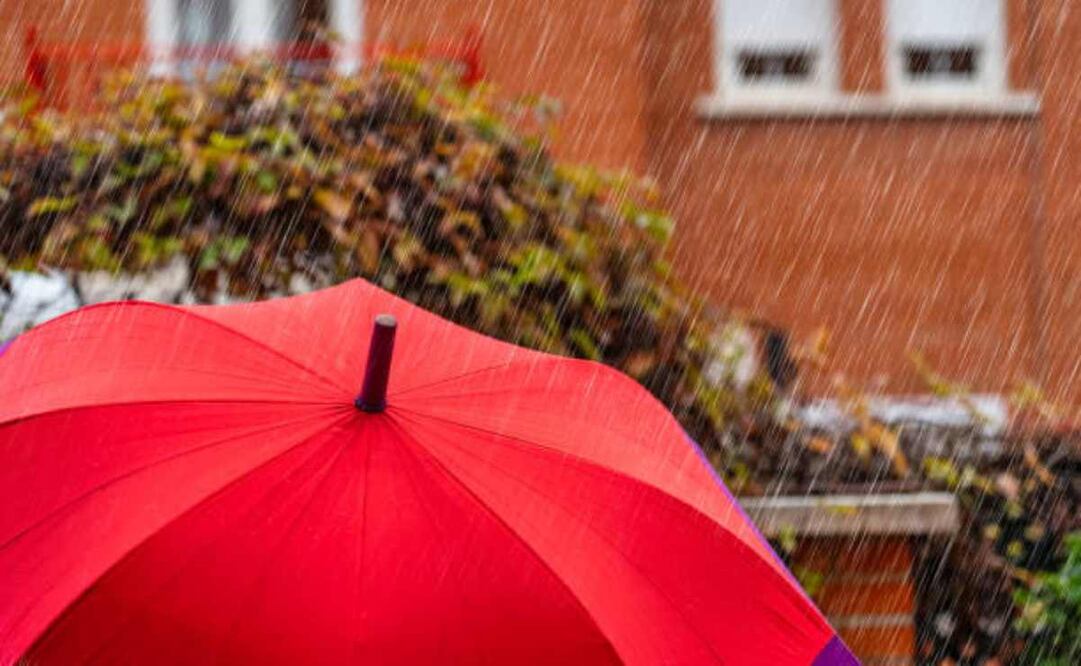 Las lluvias han afectado principalmente los condados de Miami-Dade y Broward, en el sureste de Florida, pero en general a lo largo de Alligator Alley, a lo largo de la autopista interestatal 75, que atraviesa los humedales Everglades de este a oeste. Foto: IStock