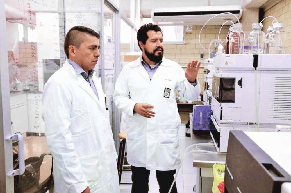 Científicos del Politécnico buscan que el fármaco contra el cáncer de mama no tenga efectos secundarios, o que éstos sean mínimos, en las células normales (CORTESÍA)