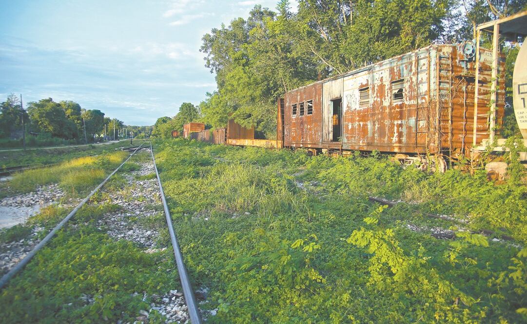 Foto: Archivo / EL UNIVERSAL