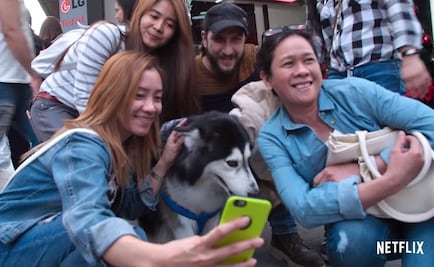 Netflix lanza tráiler de "Amigos caninos"