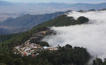 Conafor adeuda 2.5 mdp a comunidades de Oaxaca para conservación de sus bosques