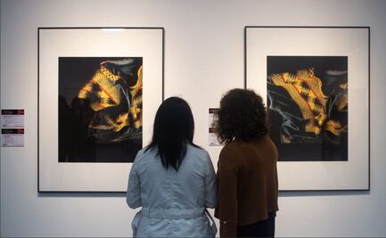 Revelan la historia íntima de Frida Kahlo a través de su indumentaria