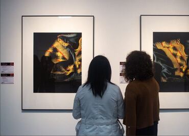 Revelan la historia íntima de Frida Kahlo a través de su indumentaria