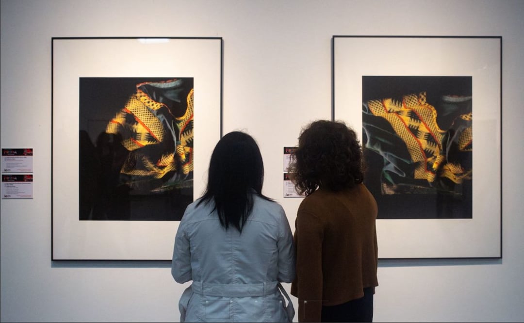 A través de 13 fotografías, Guillermo Kahlo se sumerge en la intimidad de la artista a través de su indumentaria y objetos personales.
FOTO: Darío Luna. EL UNIVERSAL