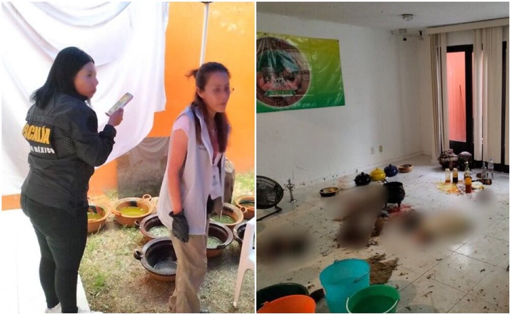 Fiscalía del Edomex inició la investigación correspondiente por el delito de maltrato animal. Foto: Especial