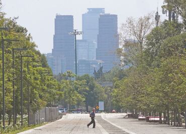 Reconocen a la CDMX por lucha ambiental