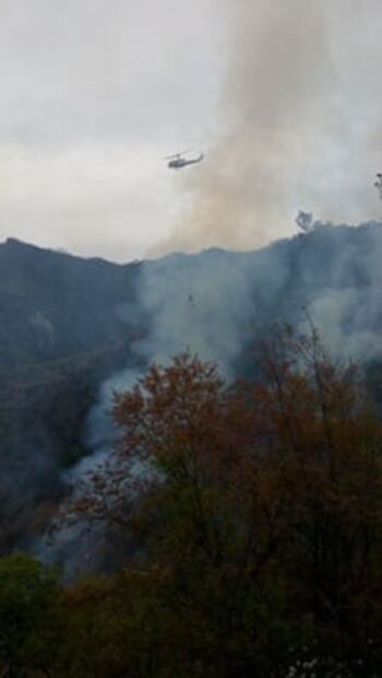 Combaten incendio forestal en la sierra de Santiago, NL