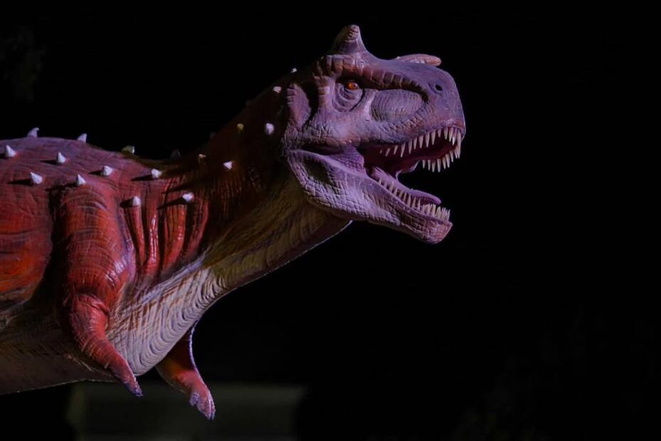 Foto: Ayuntamiento de Ramos Arizpe