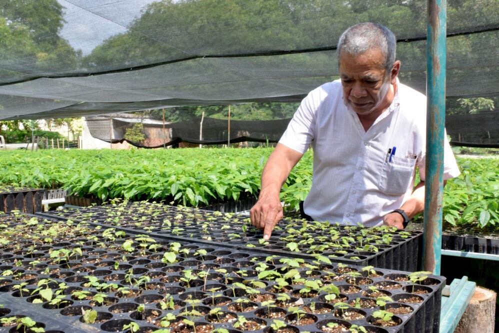 ESPECIAL. Michoacán