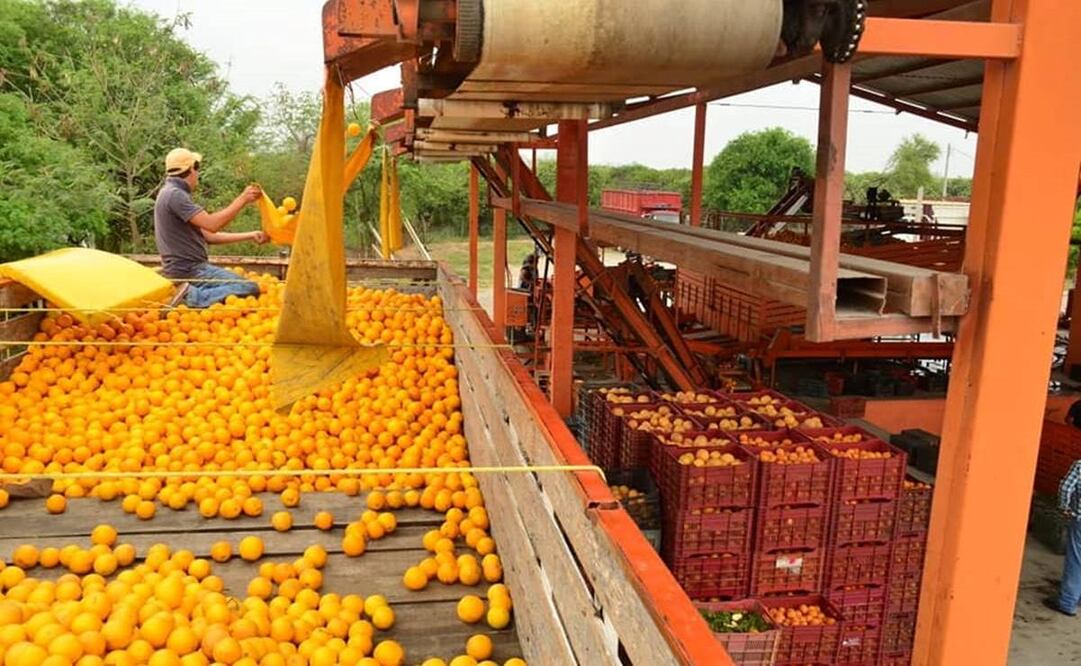 Foto: Archivo EL UNIVERSAL