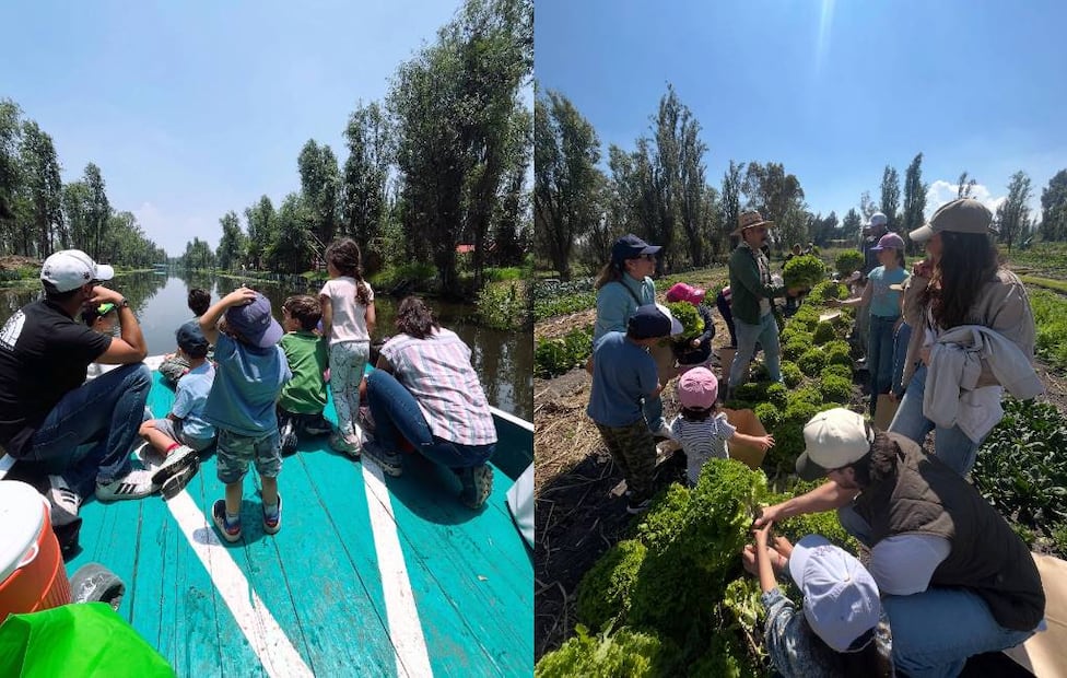 Fotos: Hecho en Xochimilco