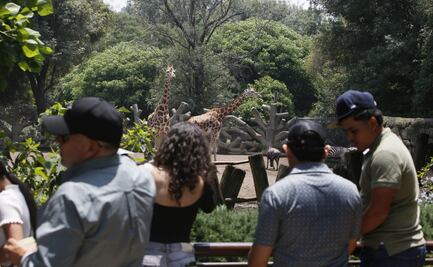 Zoológico de Chapultepec celebra 102 años; turistas y familias disfrutan actividades especiales