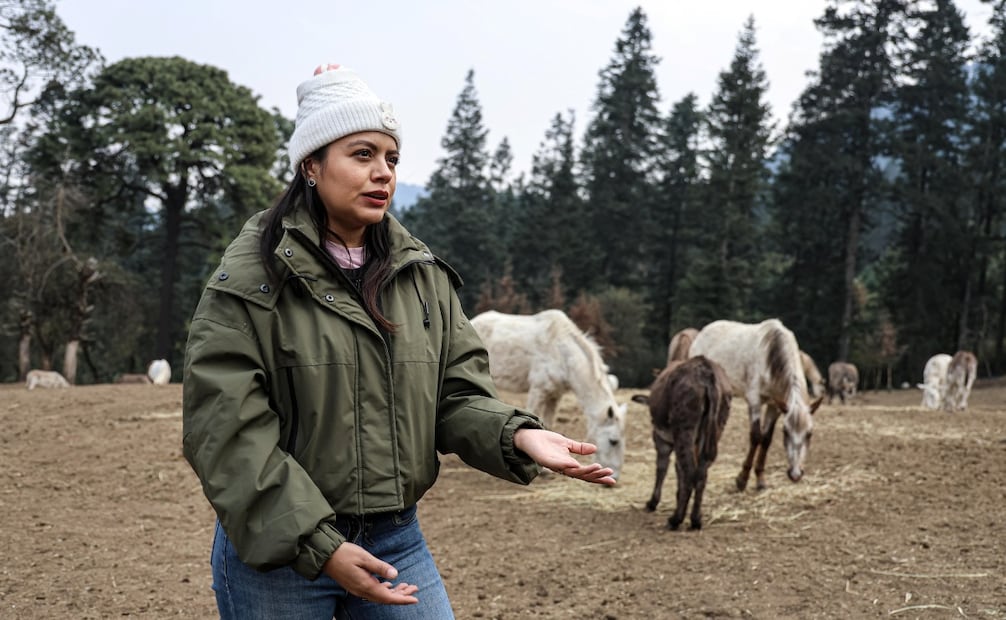 Elizabeth Soto, activista y directora del santuario Seres Libres, en el que rescata burros y caballos. Foto: Gabriel Pano/ EL UNIVERSAL