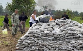 Fiscalía destruye casi una tonelada de narcóticos en Tabasco; incineran marihuana y metanfetamina