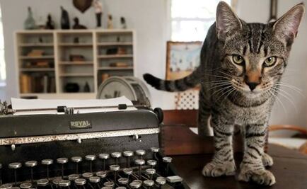 Museo de Hemingway y sus gatos se salvan de Irma