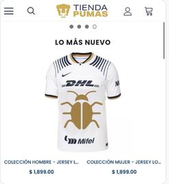 No sólo la UNAM… Chinches “invaden” las redes sociales y desatan ola de memes