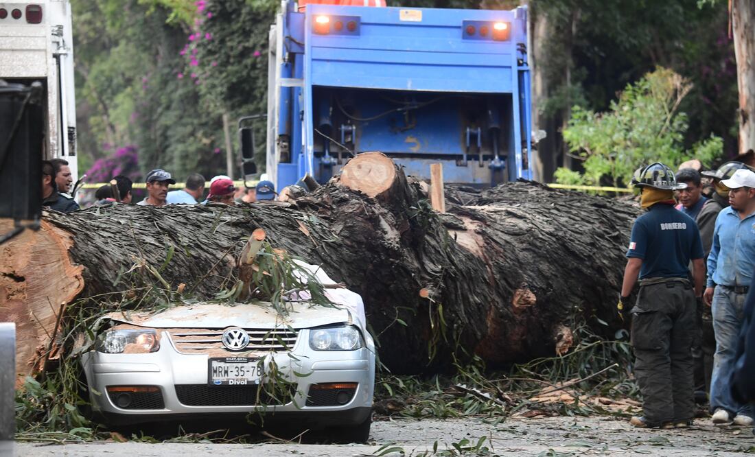 FRANCISCO RODRÍGUEZ. EL GRÁFICO