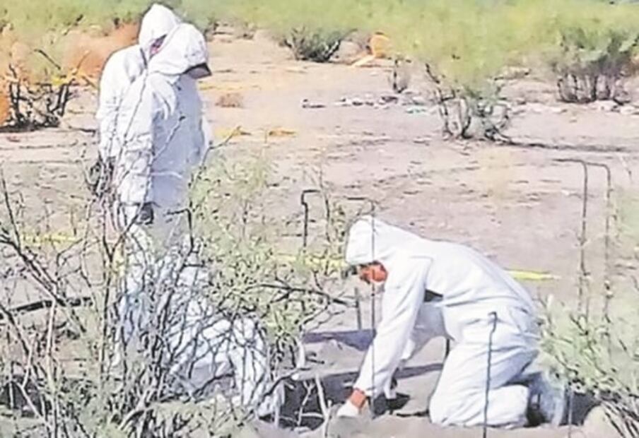 Buscan huesos. “En vez de contarlos, los pesan”