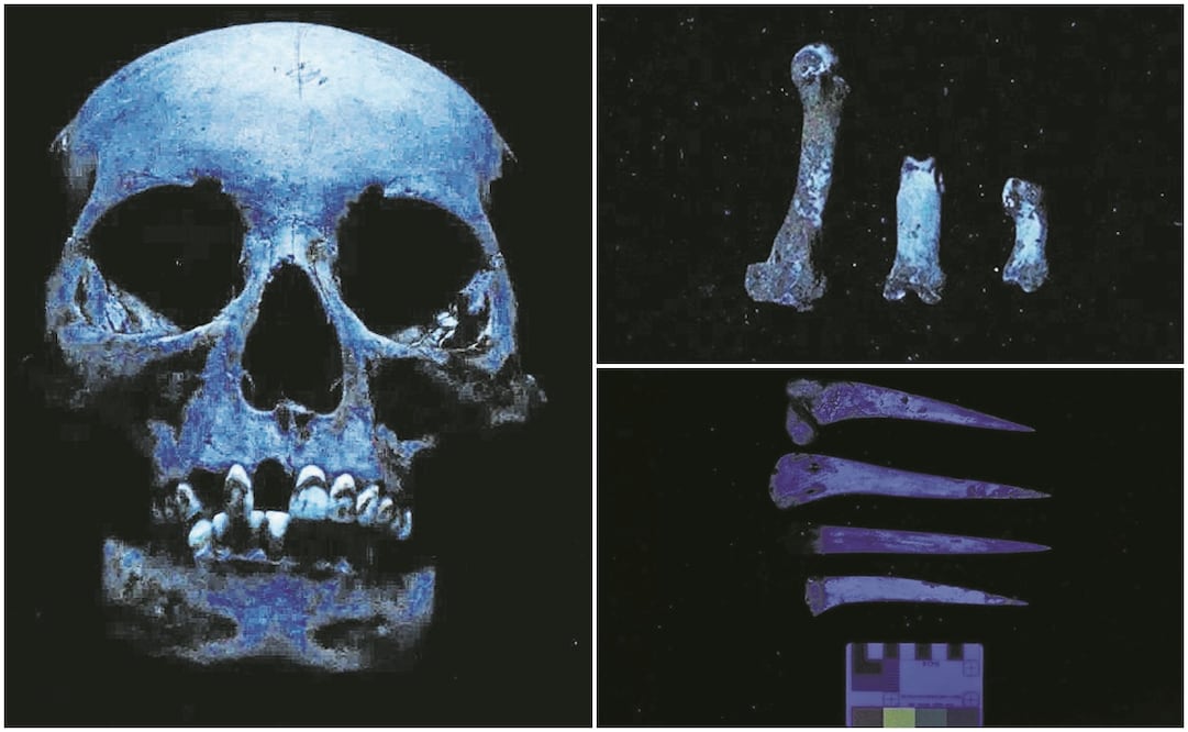 En su estudio, Karina López Hernández usó novedosos métodos para comparar los restos hallados en entierros y los del experimento que realizó con huesos de cerdo (arriba a la derecha). Así pudo comprobar que los vestigios arqueológicos sí habían sido hervidos, pues presentaban modificaciones similares a las del animal. Foto: Karina López Hernández
