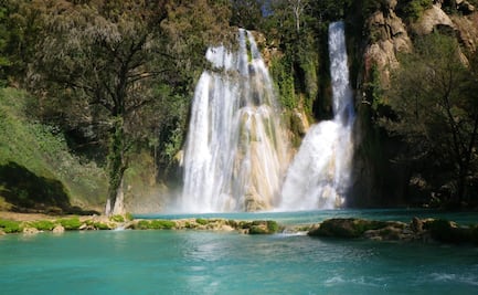 Las albercas naturales más bonitas de México