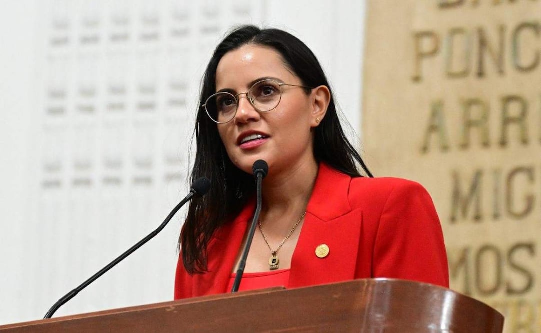 La diputada del PT, Diana Barragán, propone que fotocívicas y faltas administrativas puedan pagarse con trabajo comunitario a favor de animales de compañía. Foto: Especial.