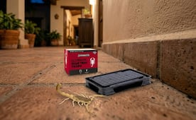 La trampa simple y sin químicos para atrapar alacranes; acaba con la plaga de tu casa de manera eficaz